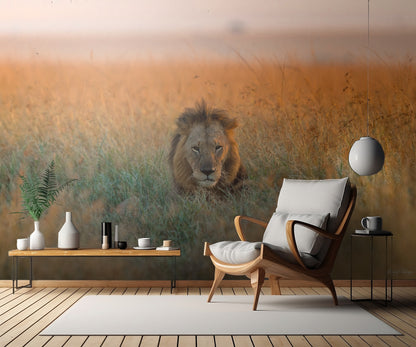 My Destiny fototapet