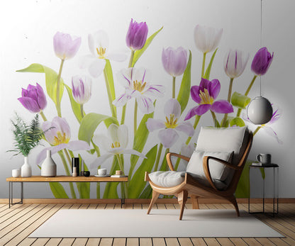 Tulipa Spring fototapet