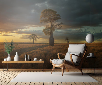 Australian Baobad fototapet