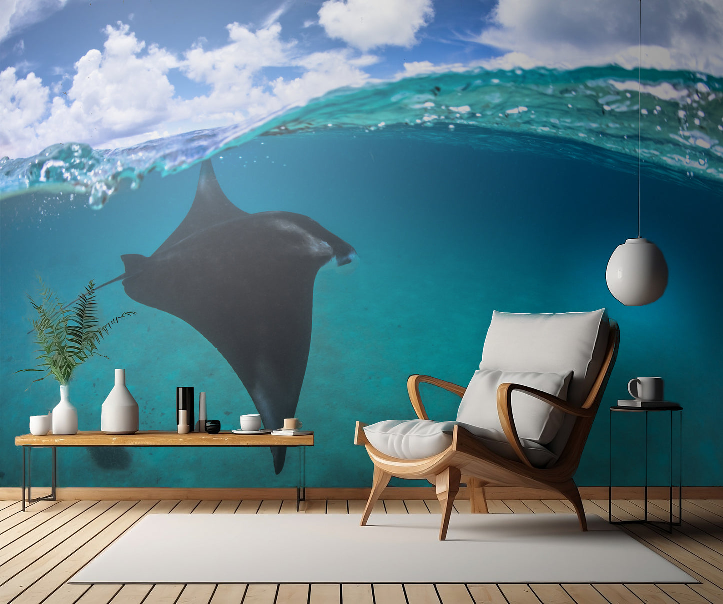 A reef manta ray in Mayotte fototapet