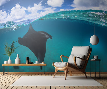 A reef manta ray in Mayotte fototapet