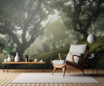 Enchanted Forest fototapet