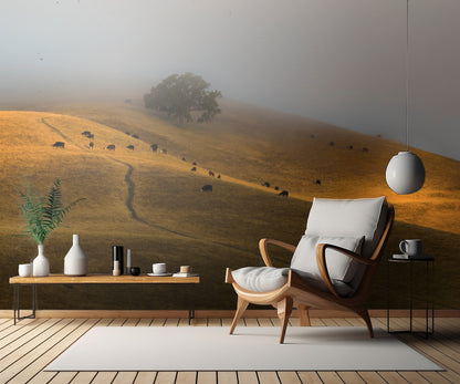 A Summer Morning in TriValley fototapet