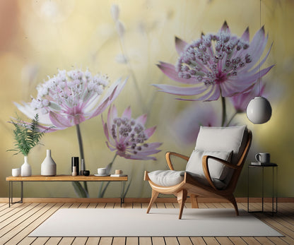 Astrantia Major fototapet