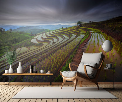 Unseen Rice Field fototapet