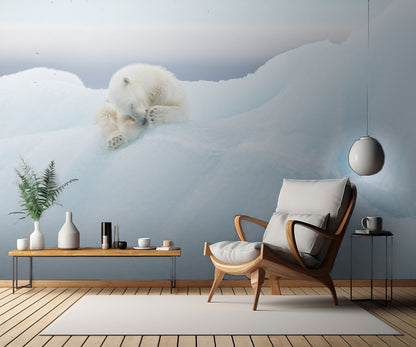 Polar Bear Grooming fototapet