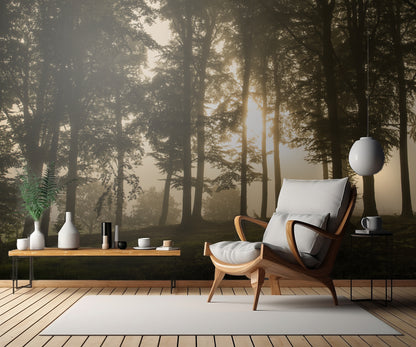 Deer in the morning mist. fototapet