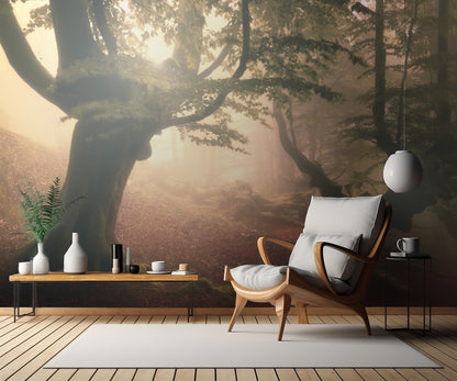 Fangorn forest fototapet