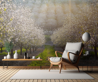 Golden Almonds fototapet