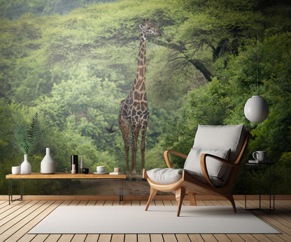 unexpected meeting fototapet