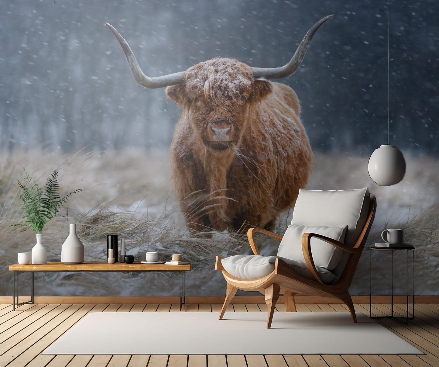 Snowy Highland cow fototapet