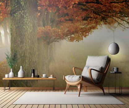 Autumn fog fototapet