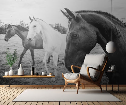 a short story about the foreground fototapet