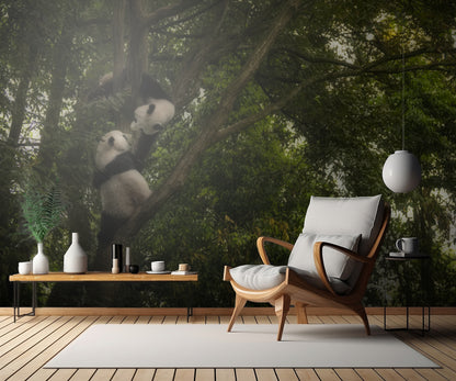 Panda fototapet