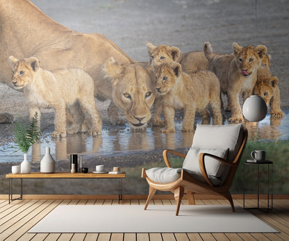 Wariness at the water hole fototapet