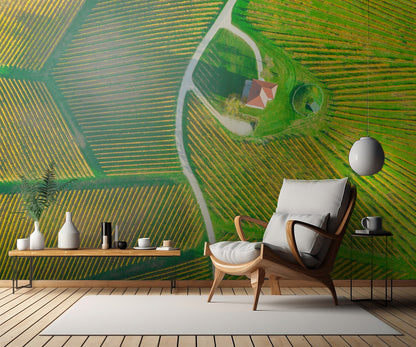 Wine House fototapet