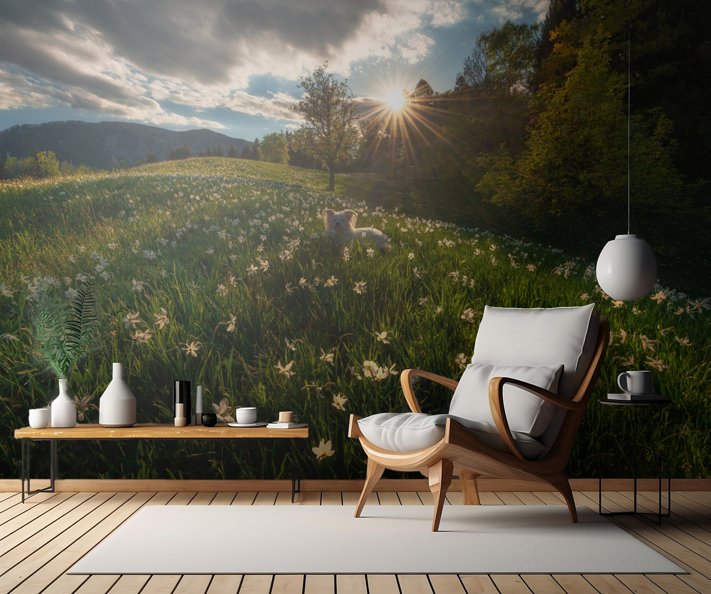 Among the daffodils fototapet