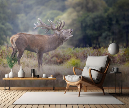 The scream of the deer fototapet