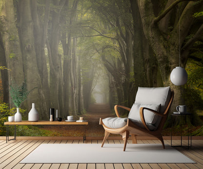 Antiquated fototapet