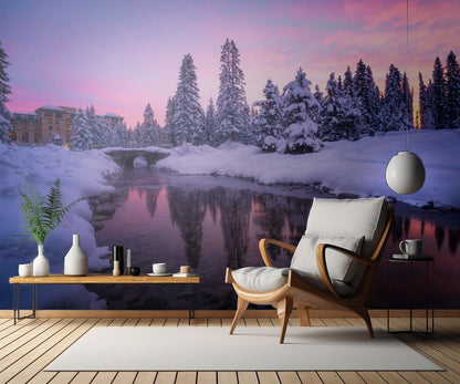 Winter Forest fototapet