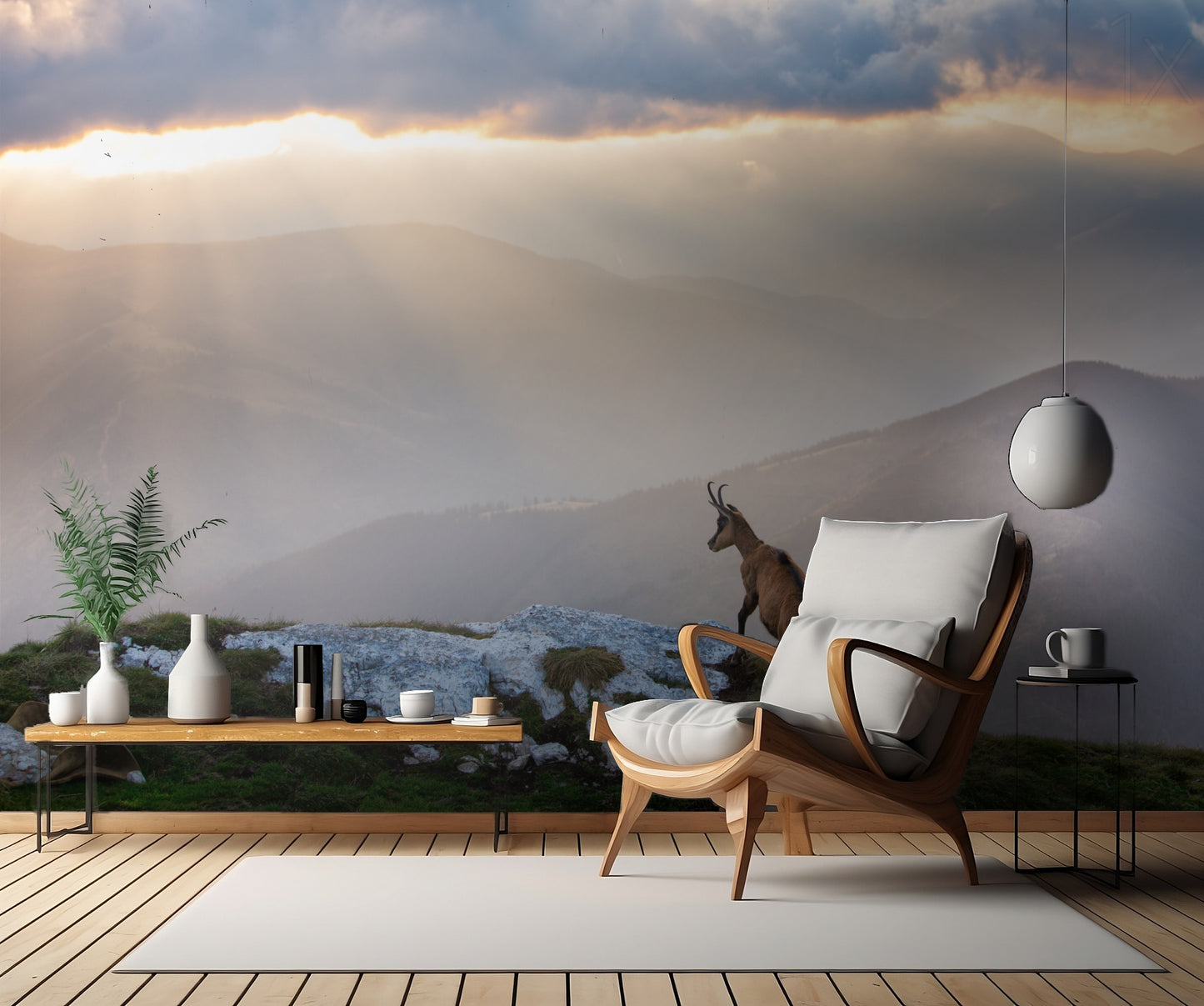 Chamois in Piatra Craiului Romania fototapet