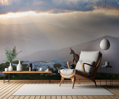 Chamois in Piatra Craiului Romania fototapet