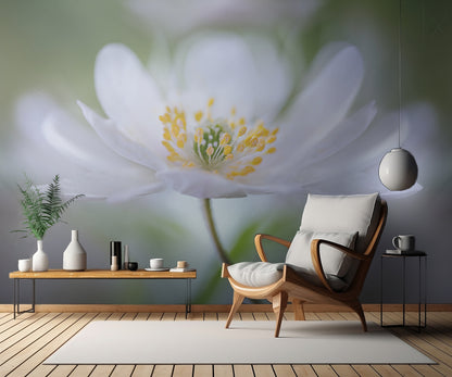 Nemorosa Nirvana fototapet