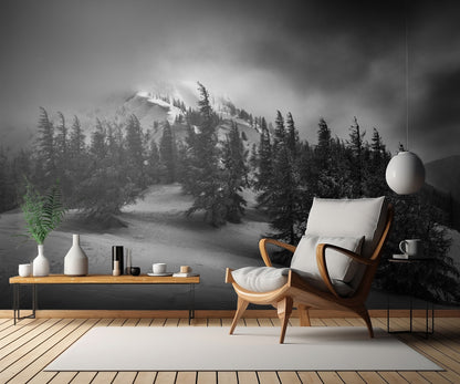 Windy & cold fototapet