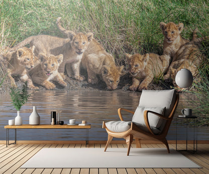 Putting the band back together.... fototapet