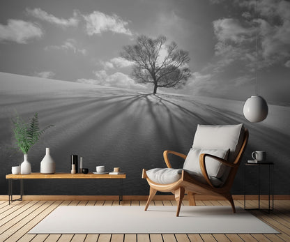 Tree Shadow fototapet