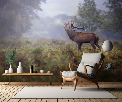 Scream in the rain fototapet