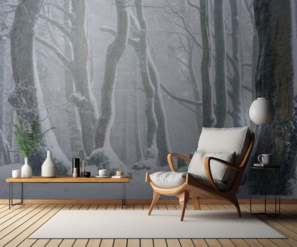 Breath of winter fototapet