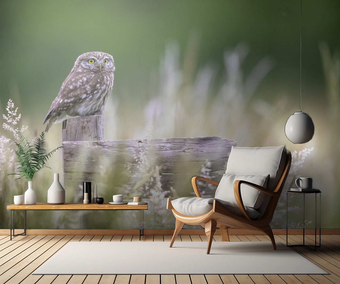 Little owl fototapet