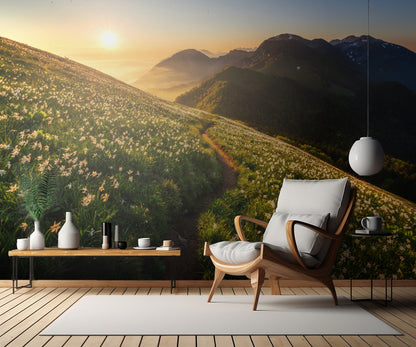 Among the daffodils fototapet