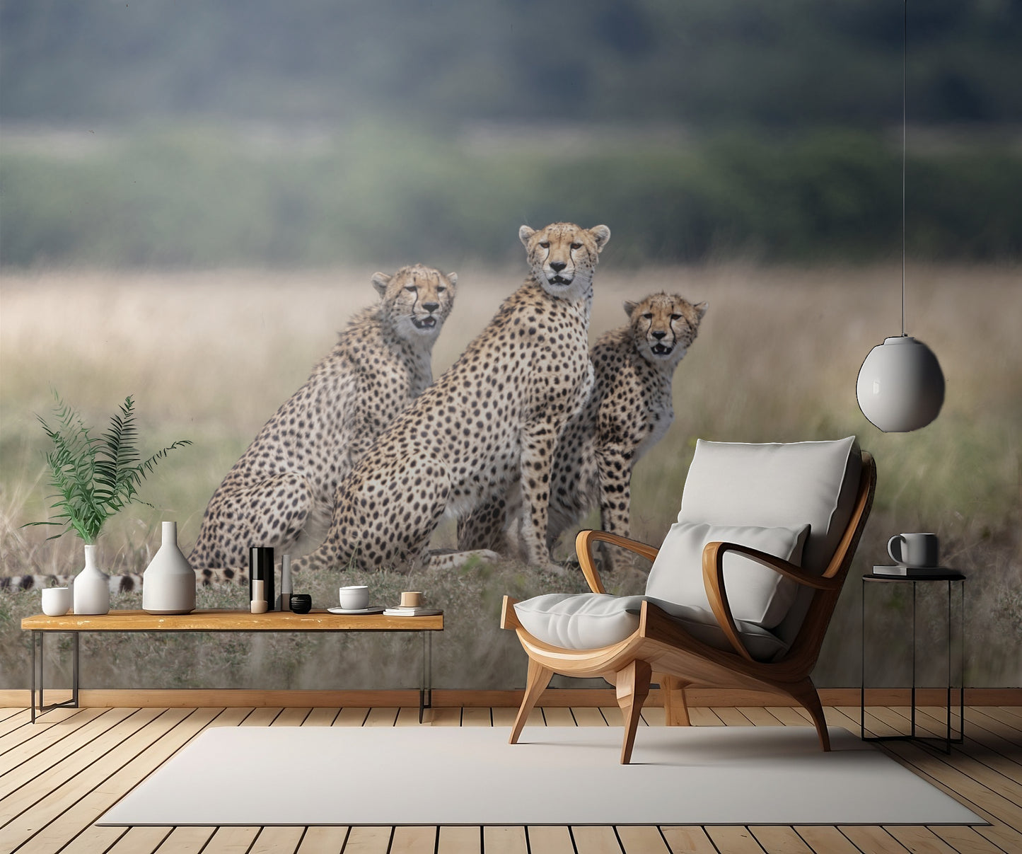 Attention, please! fototapet