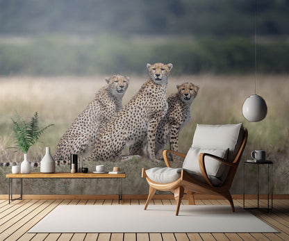 Attention, please! fototapet