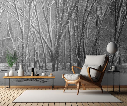 Yosemite Snow 2 fototapet