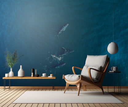 Arabian Humpback Whale fototapet