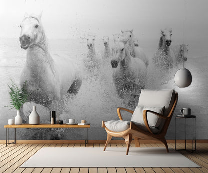 We are coming fototapet