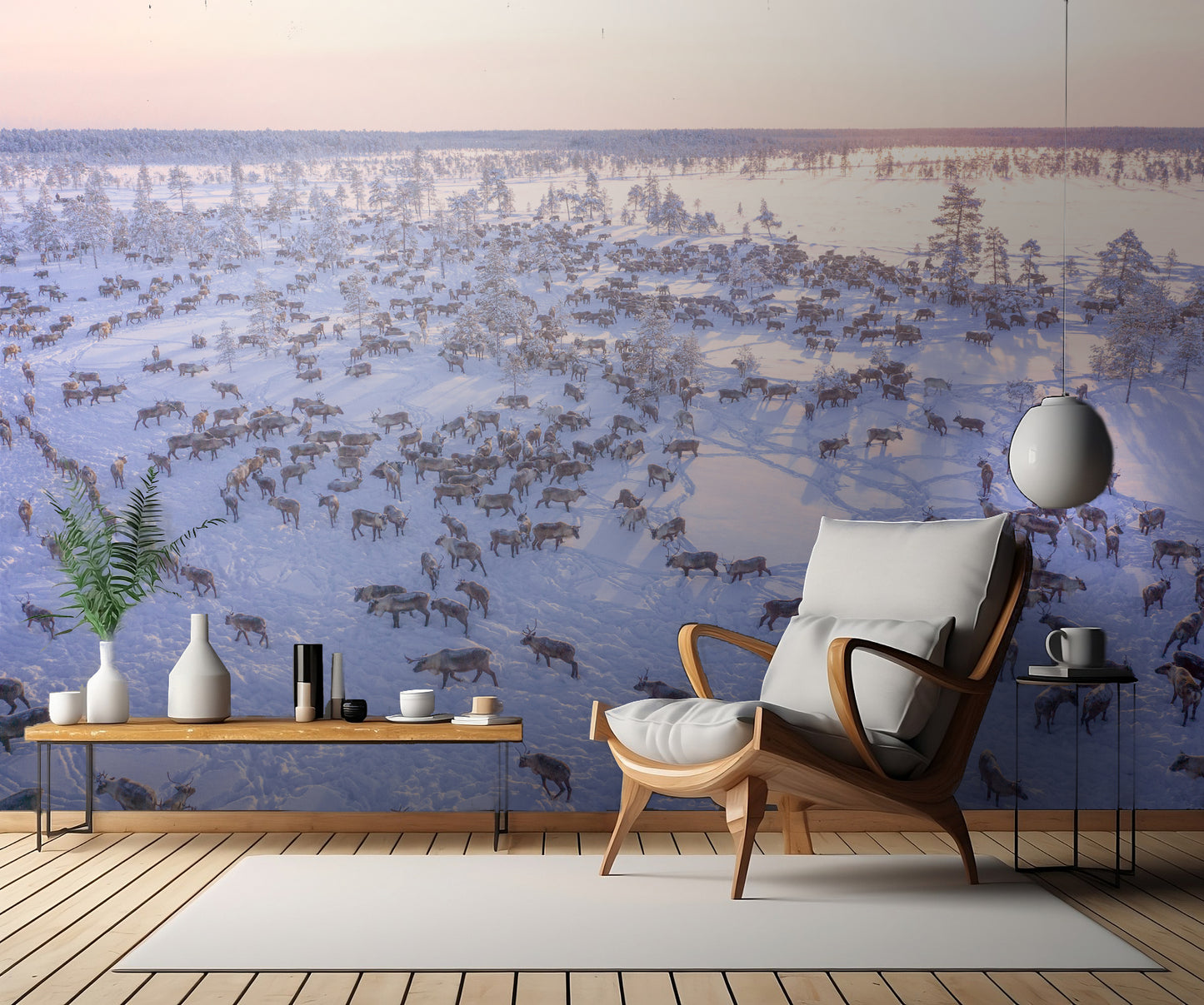 North of Russia - Wilde Reindeers fototapet