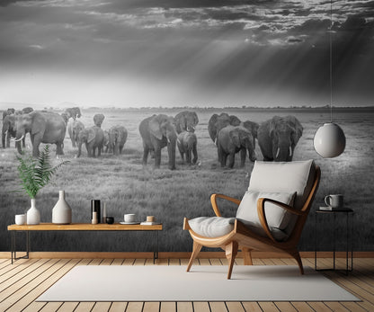 Breakfast with pachyderms fototapet