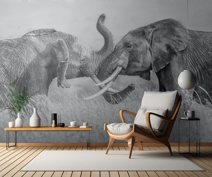 Elephant "Tai Chi" fototapet