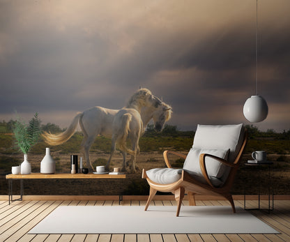 After the storm...light! A732210 fototapet